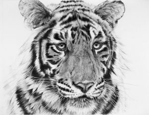 Pratibimb प्रतिबिंब (Reflection) Print