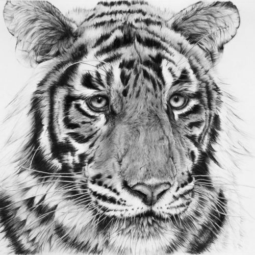 Pratibimb प्रतिबिंब (Reflection) Print