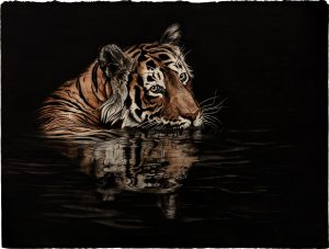 Chai & Paan Tiger: Water Print