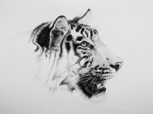 Chupake चुपके (Stealth) Print