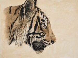 Katha & Chai Tiger: His Majesty